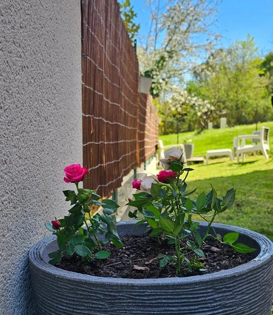 Appartement Lumineux Et Calme En Rez-De-Jardin Castanet-Tolosan