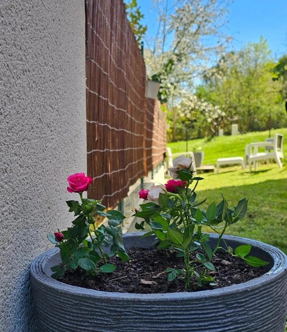 Appartement Lumineux Et Calme En Rez-De-Jardin Castanet-Tolosan France